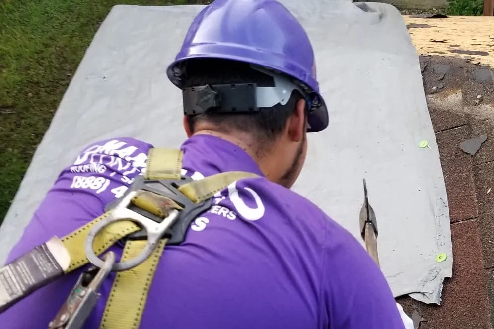 A Mammoth roofer in a purple hard hat and shirt strips old shingles at the eave, the exposed decking beside him and a tarp over the garden below