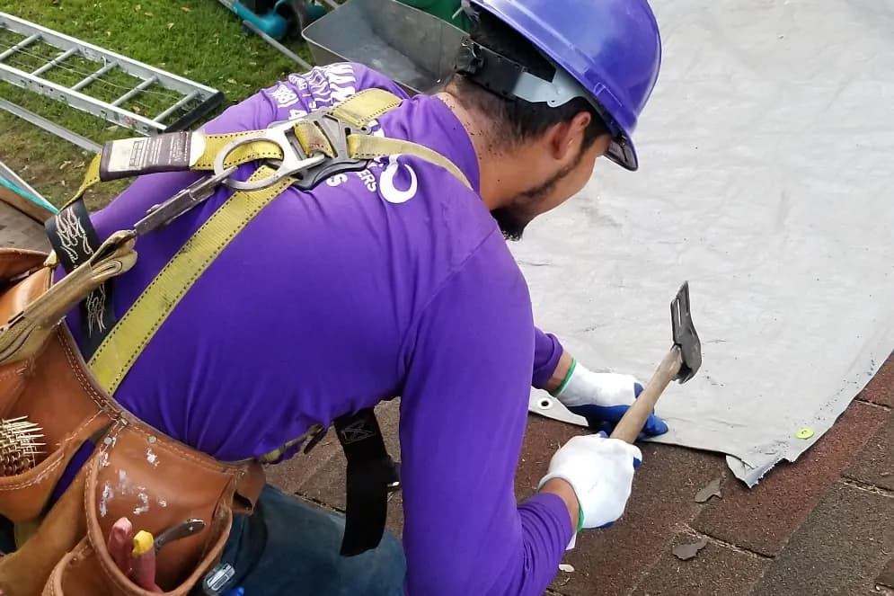 A Mammoth roofer in a purple hard hat works a hammer at the edge of a shingle roof, a tarp and the crew's tools on the lawn below