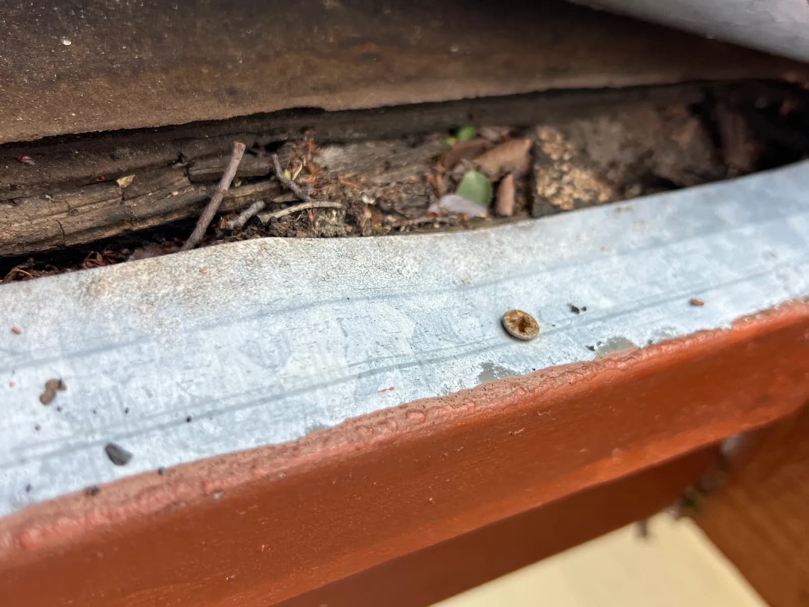 Rotted wood and debris exposed under the metal drip edge at the edge of a roof