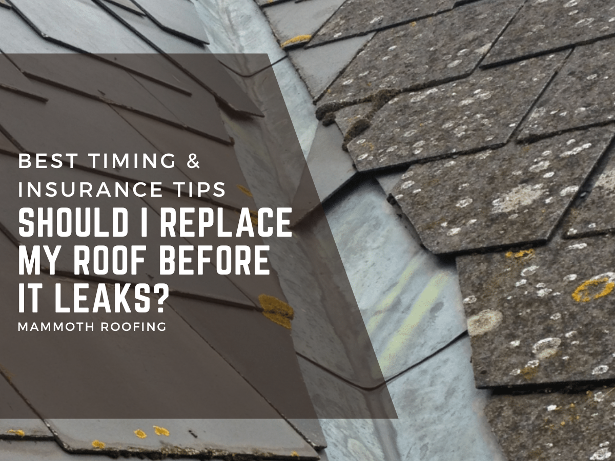 Old and deteriorating asphalt shingle roof with moss growth, showing signs of wear and tear, with text overlay: 'Should I Replace My Roof Before It Leaks?' Mammoth Roofing.